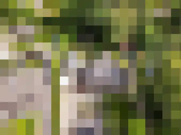 Parkweg 43 't Harde thumbnail 5