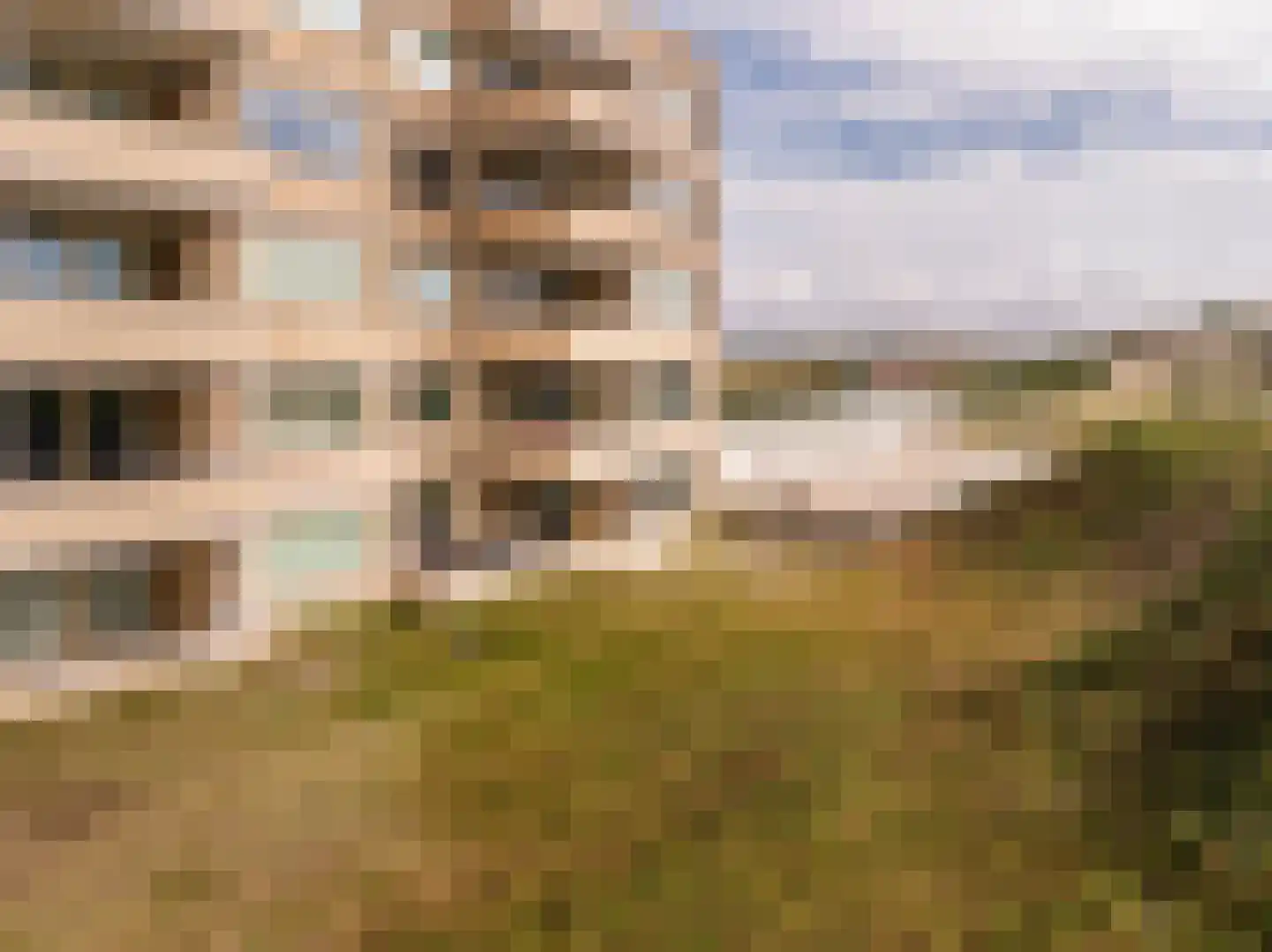 Parkweg 47 Bergen aan Zee thumbnail 24