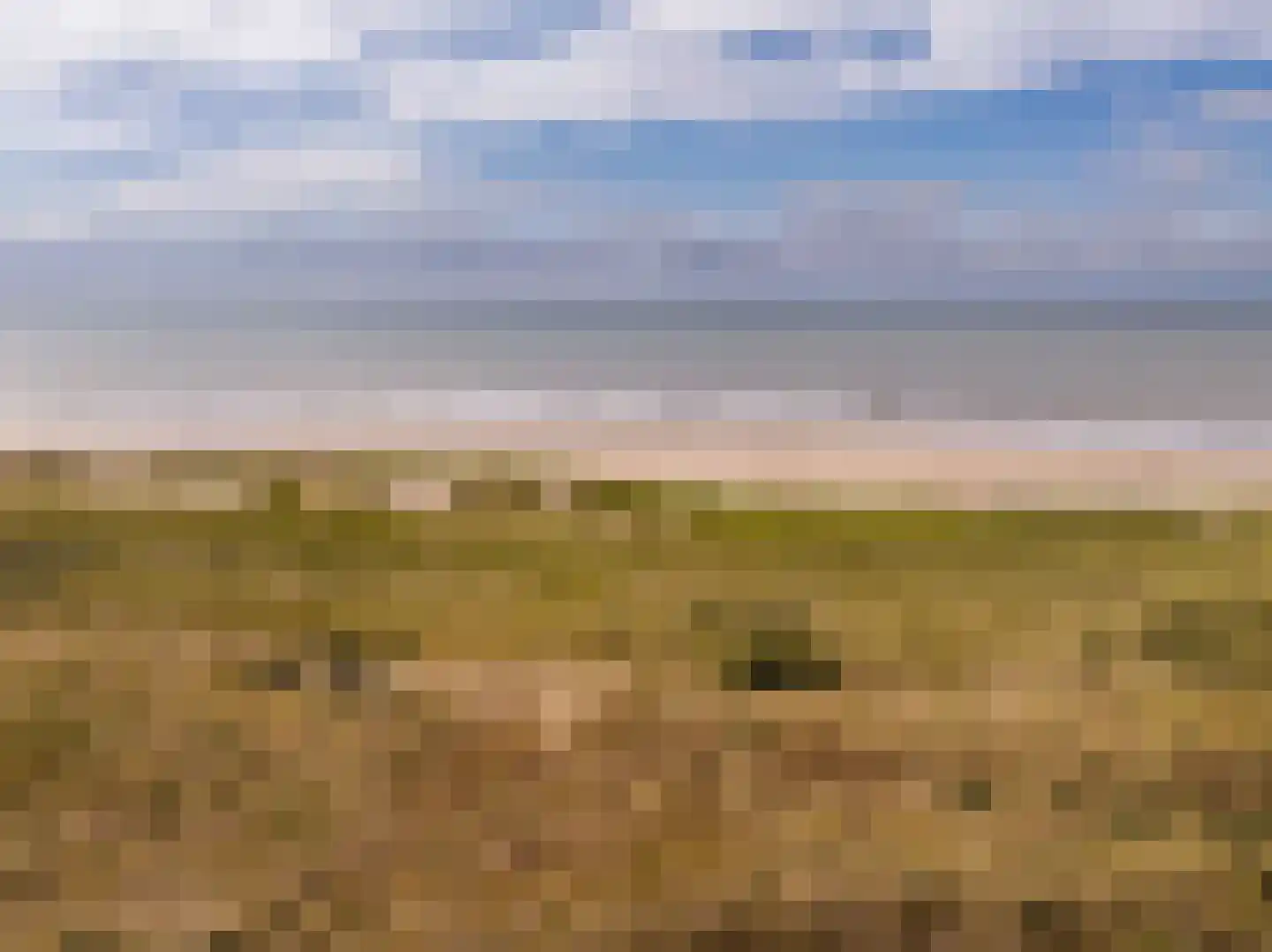 Parkweg 47 Bergen aan Zee thumbnail 33