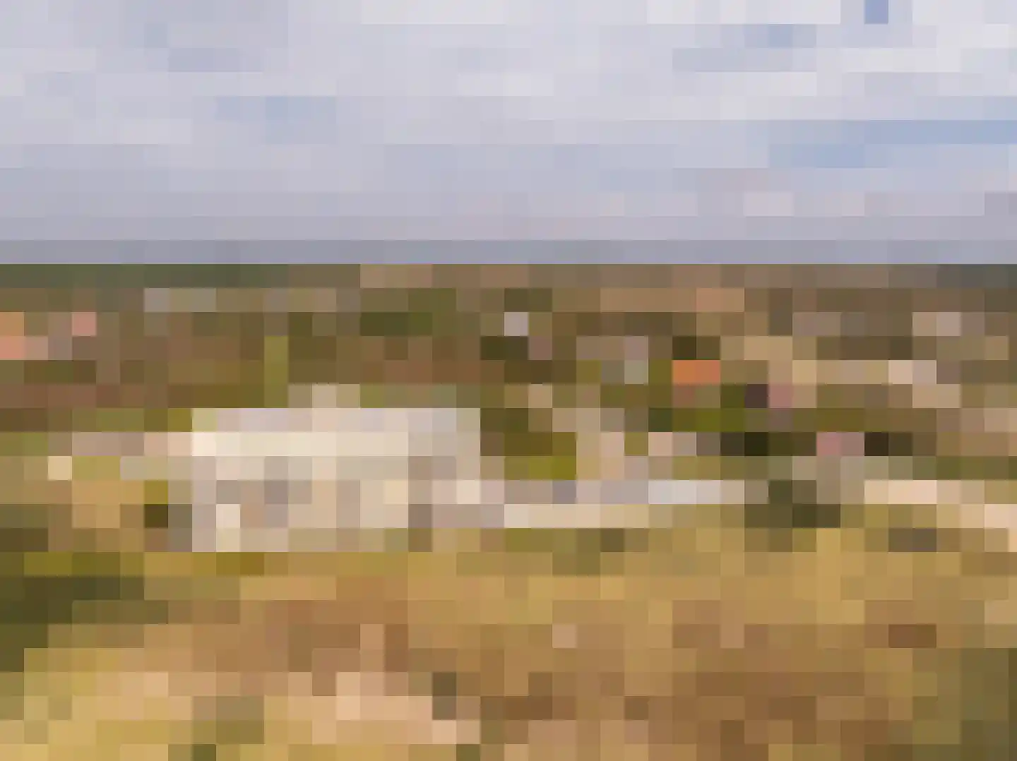 Parkweg 47 Bergen aan Zee thumbnail 35