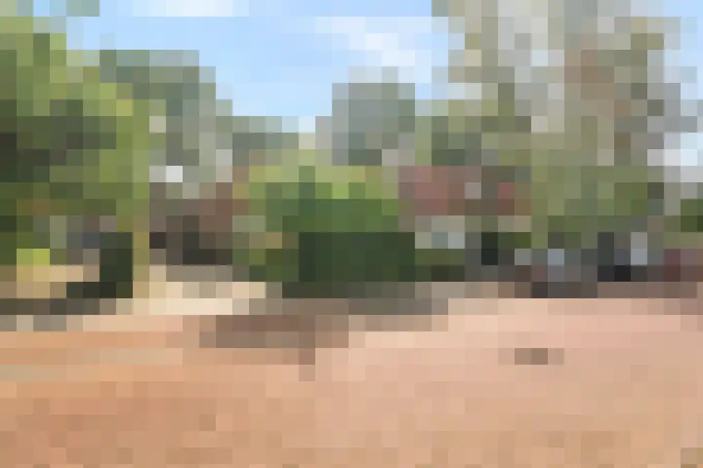Parkweg 49 't Harde thumbnail 14