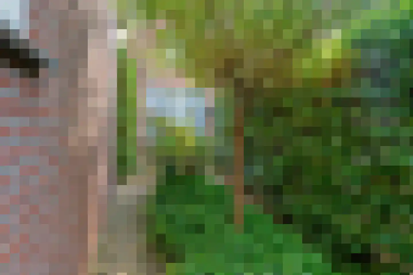 Parkweg 49 't Harde thumbnail 36