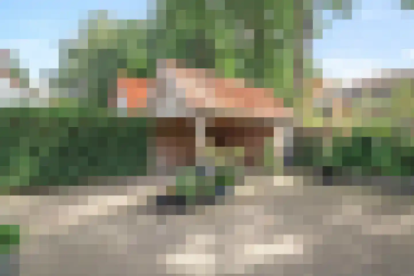 Parkweg 49 't Harde thumbnail 43