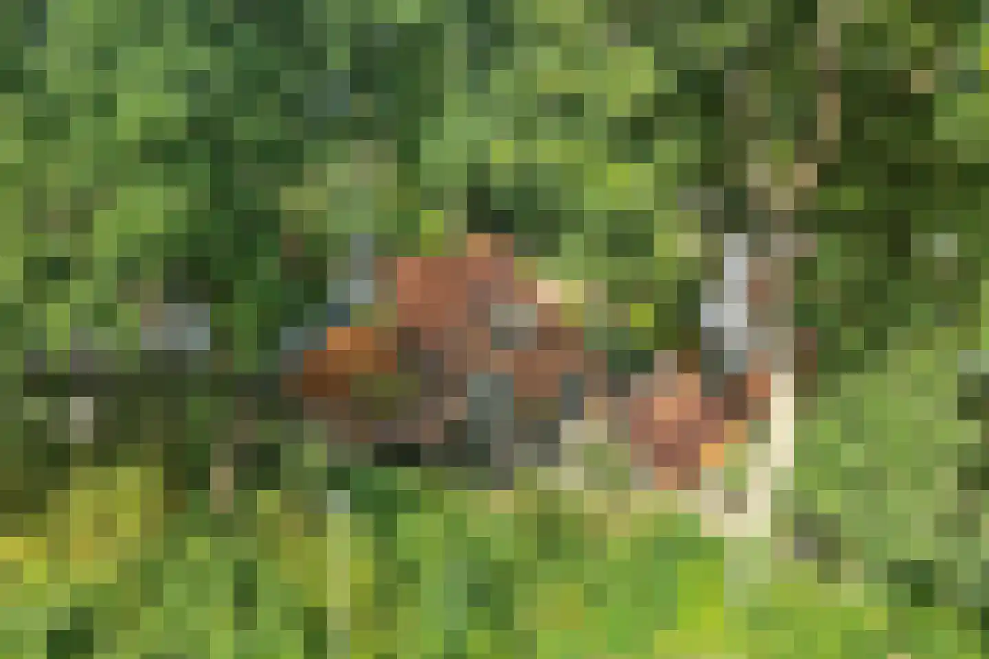 Parkweg 49 't Harde thumbnail 49