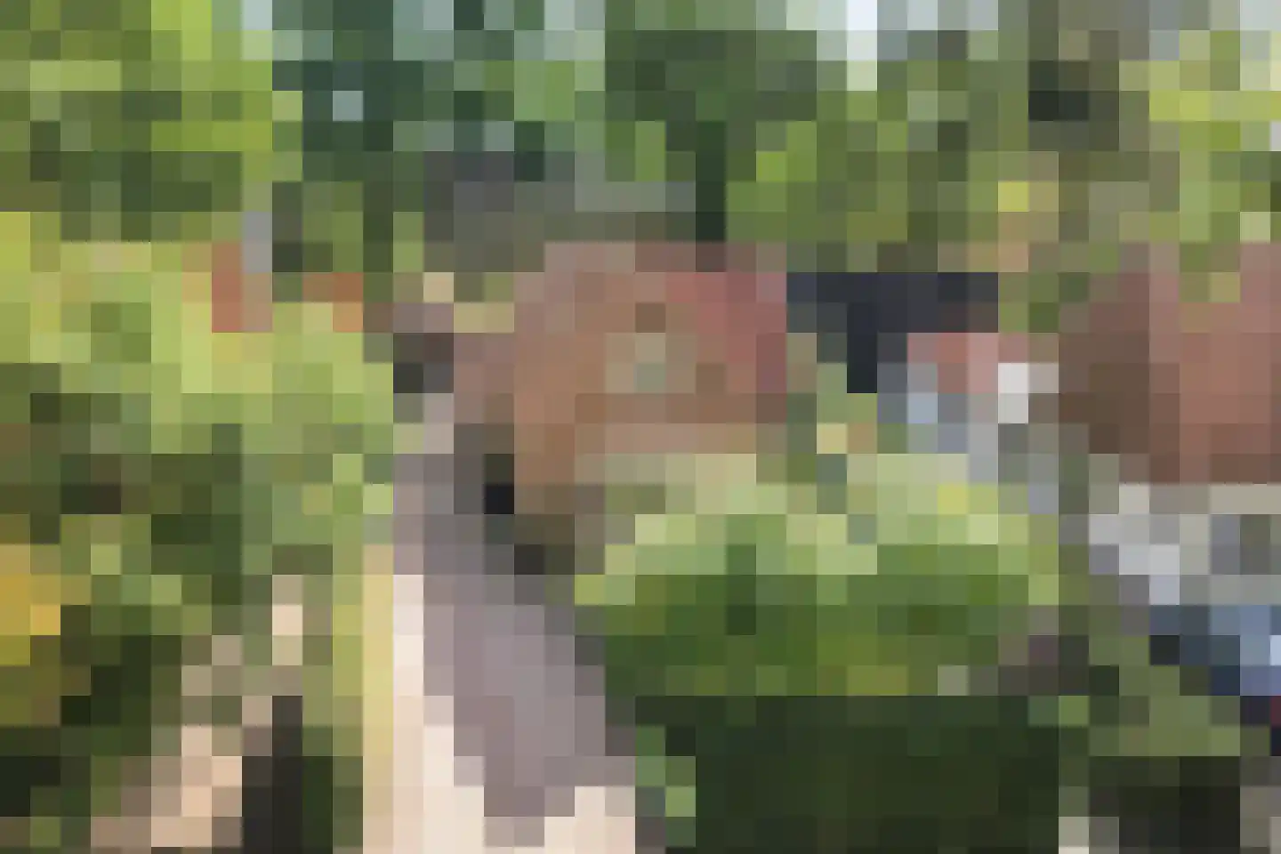 Parkweg 49 't Harde thumbnail 5