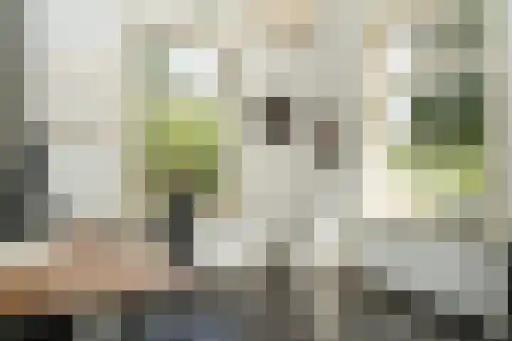 Parkweg 5 Didam thumbnail 19