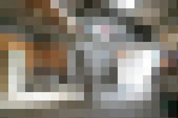 Parkweg 5 Didam thumbnail 43