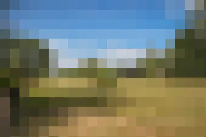Parkweg 5 Didam thumbnail 47