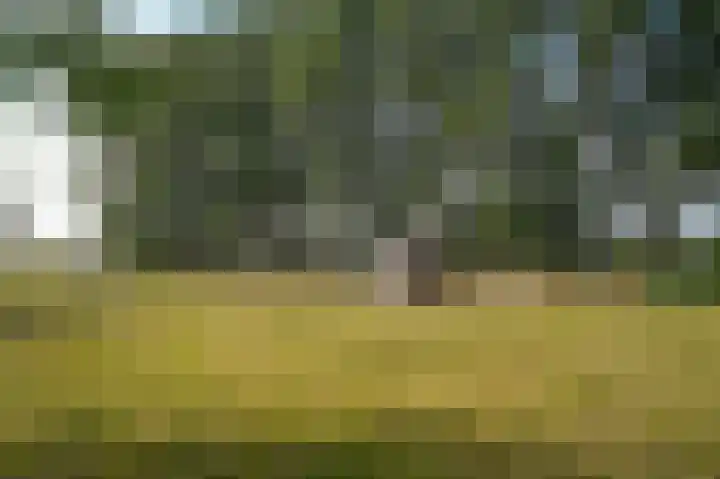 Parkweg 5 Didam thumbnail 48