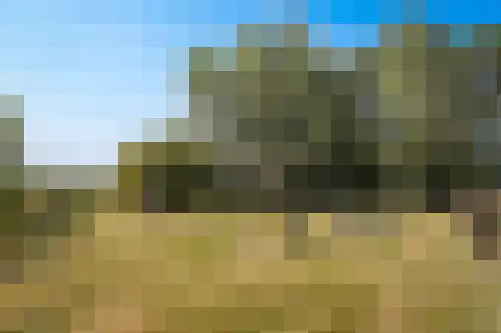 Parkweg 5 Didam thumbnail 53