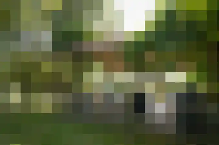 Parkweg 5 Didam thumbnail 54