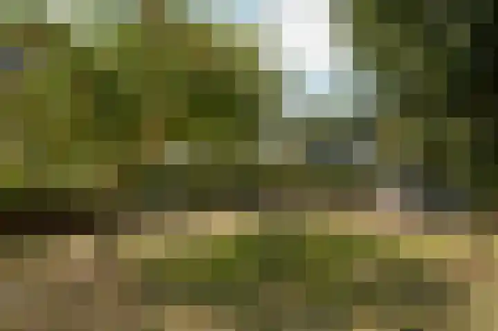 Parkweg 5 Didam thumbnail 57