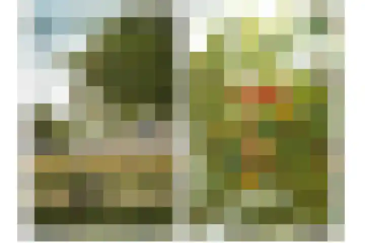 Parkweg 5 Didam thumbnail 58
