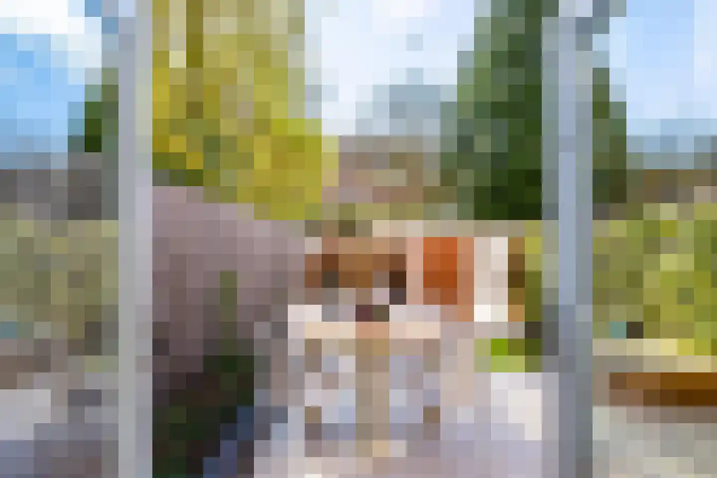Parkweg 54 Groningen thumbnail 32