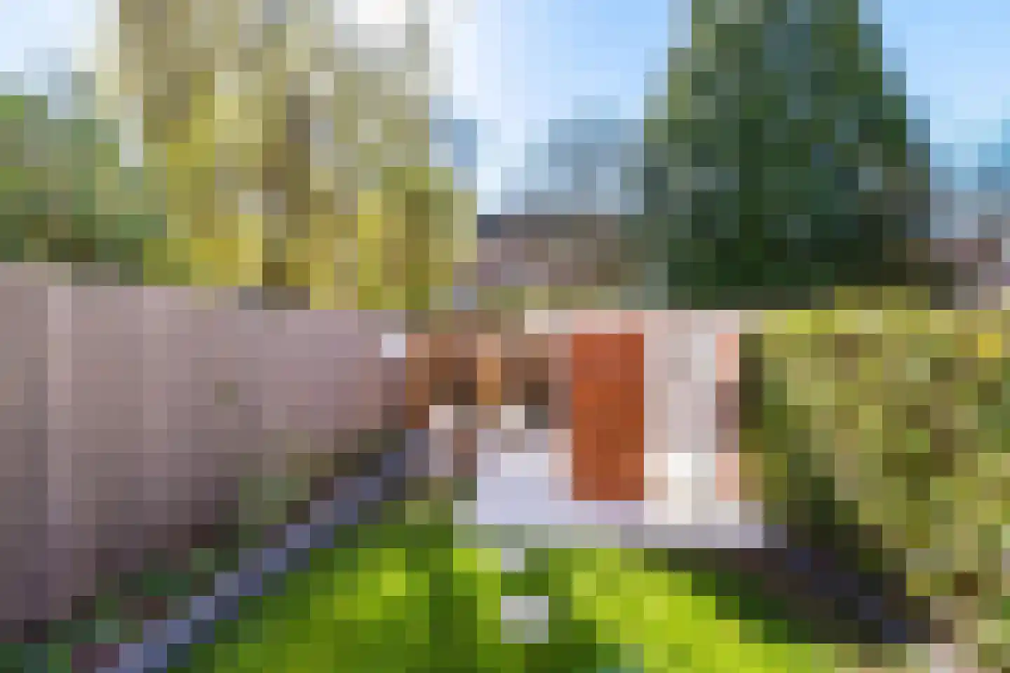 Parkweg 54 Groningen thumbnail 61