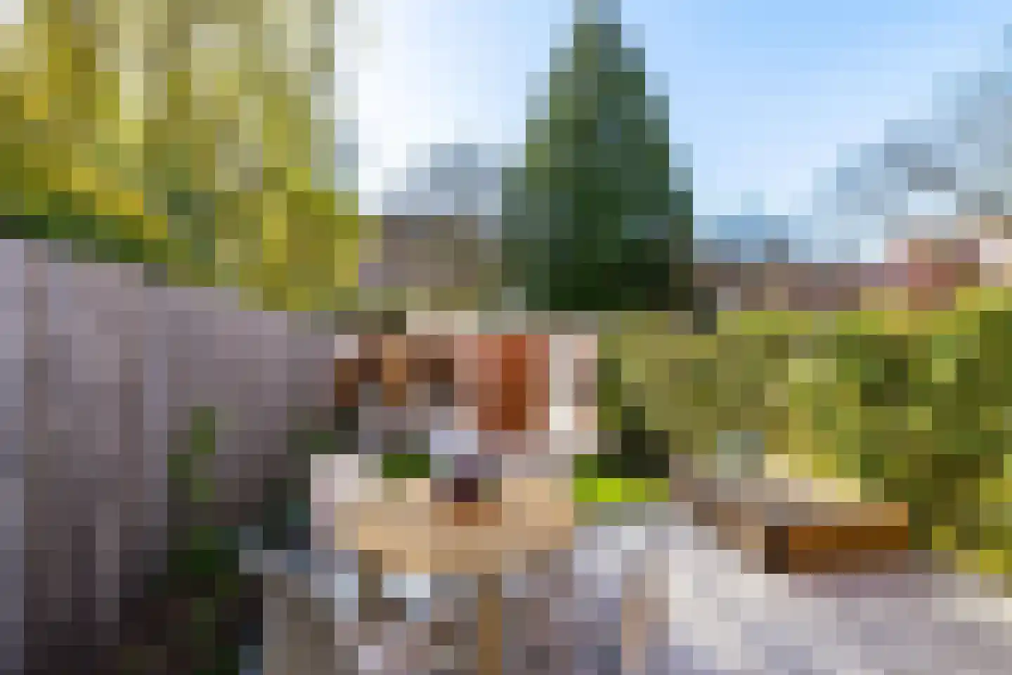 Parkweg 54 Groningen thumbnail 62