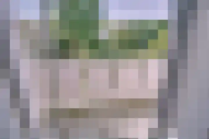 Parkweg 6 A Den Haag thumbnail 17
