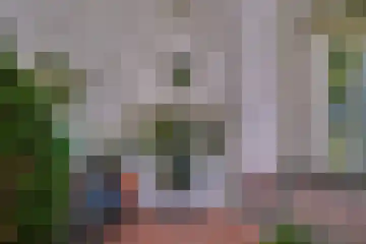 Parkweg 6 A Den Haag thumbnail 6