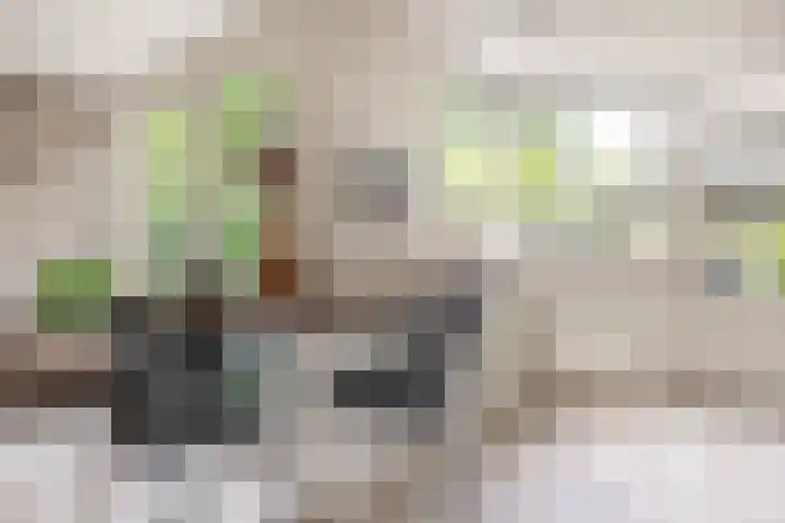 Parkweg 6 Best thumbnail 22