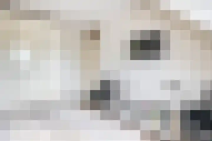 Parkweg 6 Best thumbnail 26
