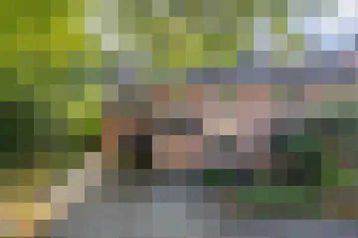Parkweg 6 Best thumbnail 36