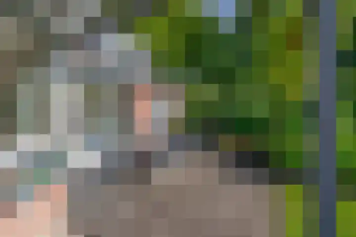 Parkweg 6 Best thumbnail 37