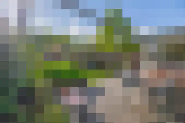 Parkweg 6 Best thumbnail 38
