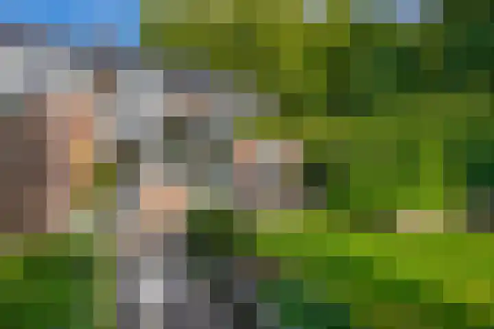 Parkweg 6 Best thumbnail 39