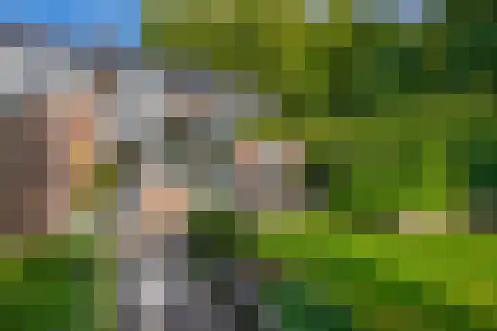 Parkweg 6 Best thumbnail 4