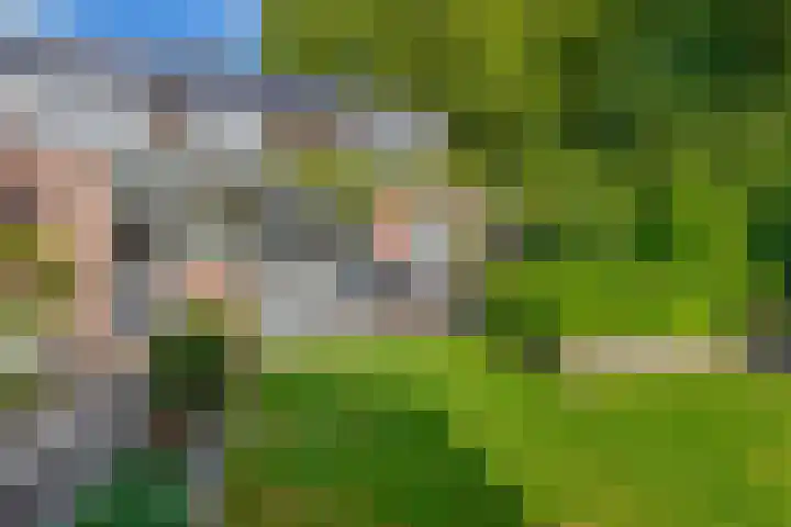 Parkweg 6 Best thumbnail 42
