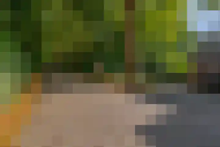 Parkweg 6 Best thumbnail 43