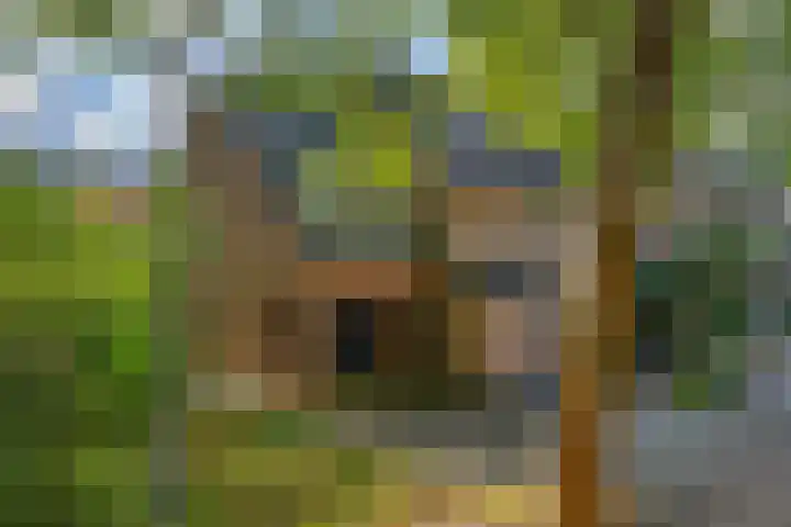 Parkweg 6 Best thumbnail 44