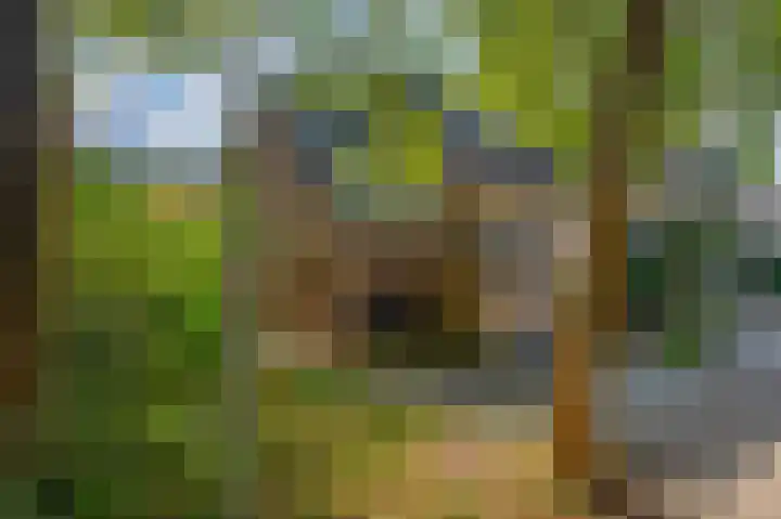 Parkweg 6 Best thumbnail 6