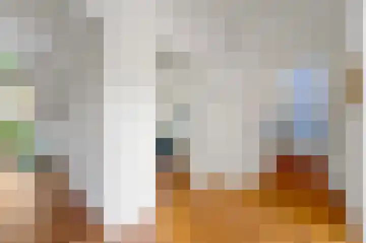 Parkweg 6 E Den Haag thumbnail 4