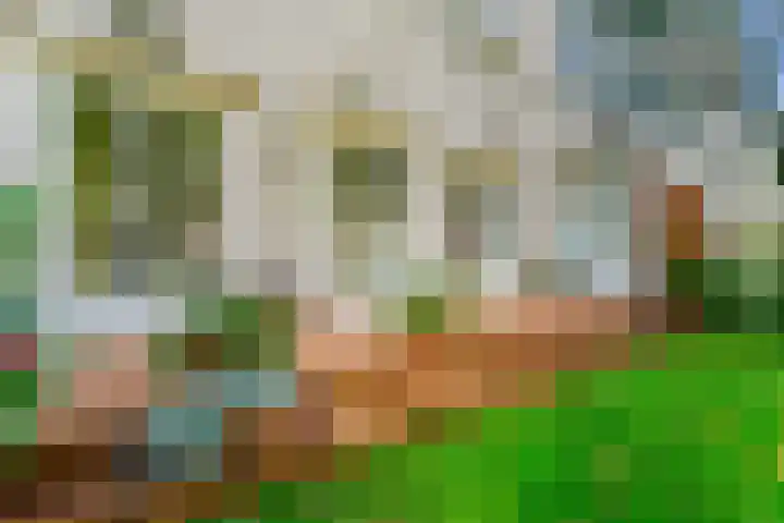 Parkweg 6 E Den Haag thumbnail 7