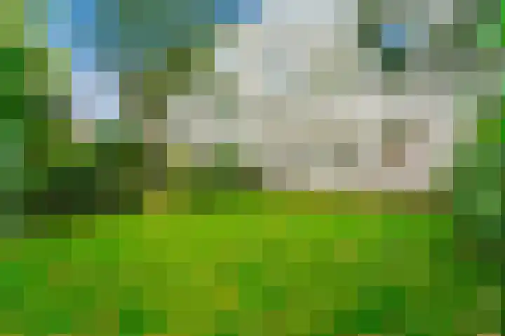 Parkweg 6 E Den Haag thumbnail 8