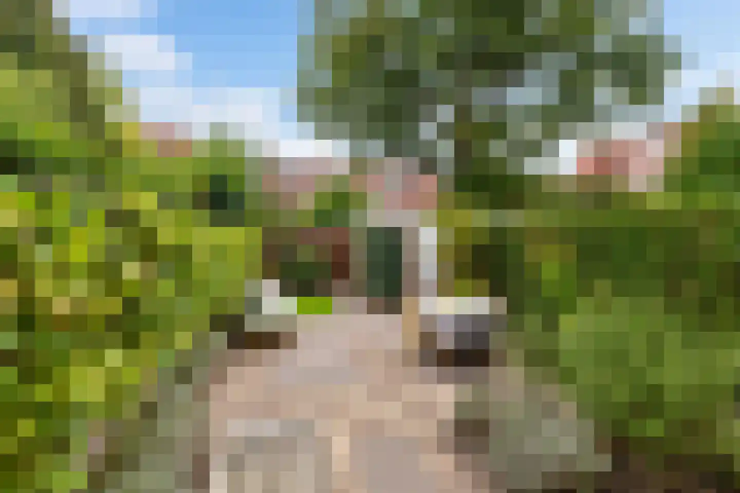 Parkweg 62 Groningen thumbnail 4