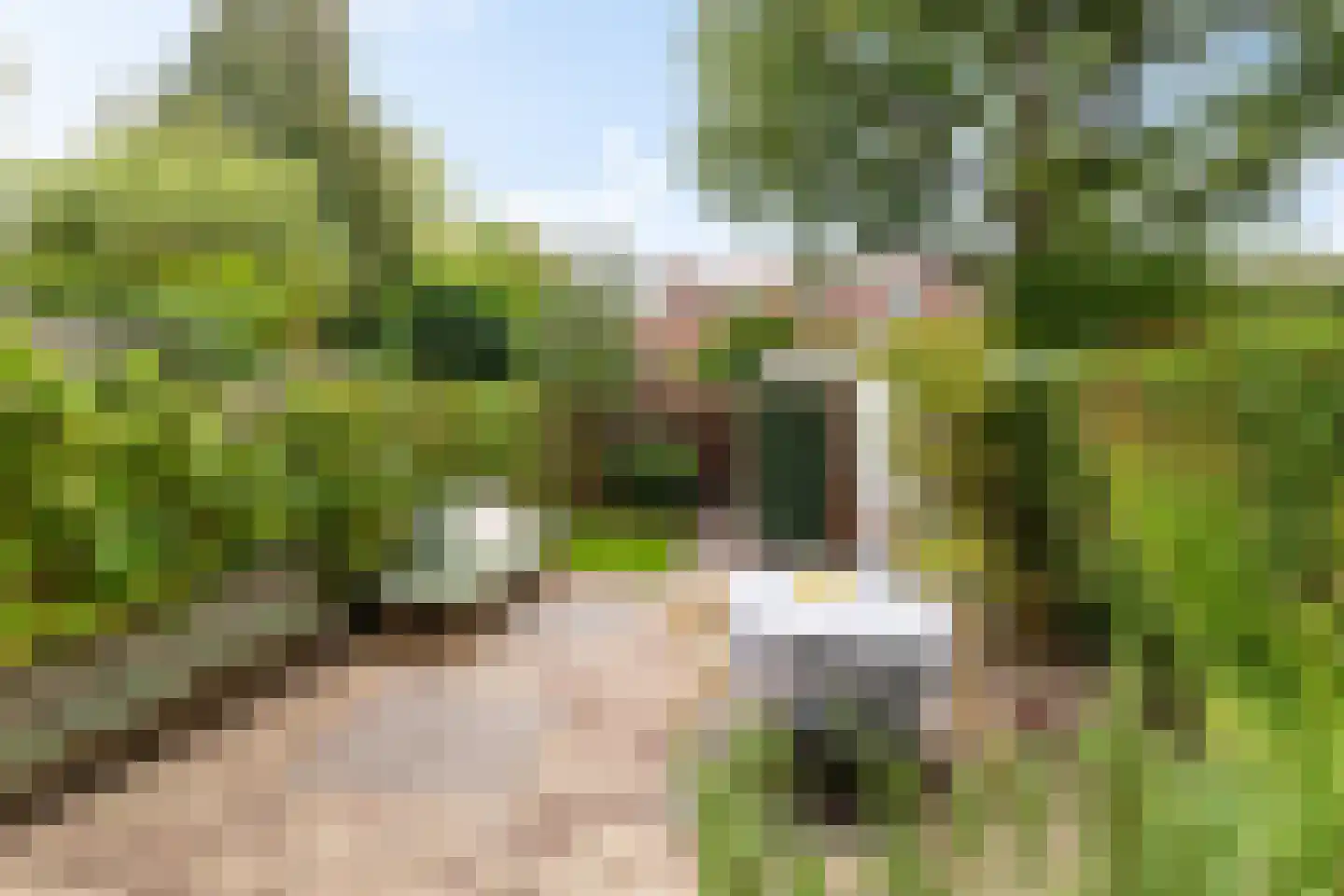 Parkweg 62 Groningen thumbnail 46