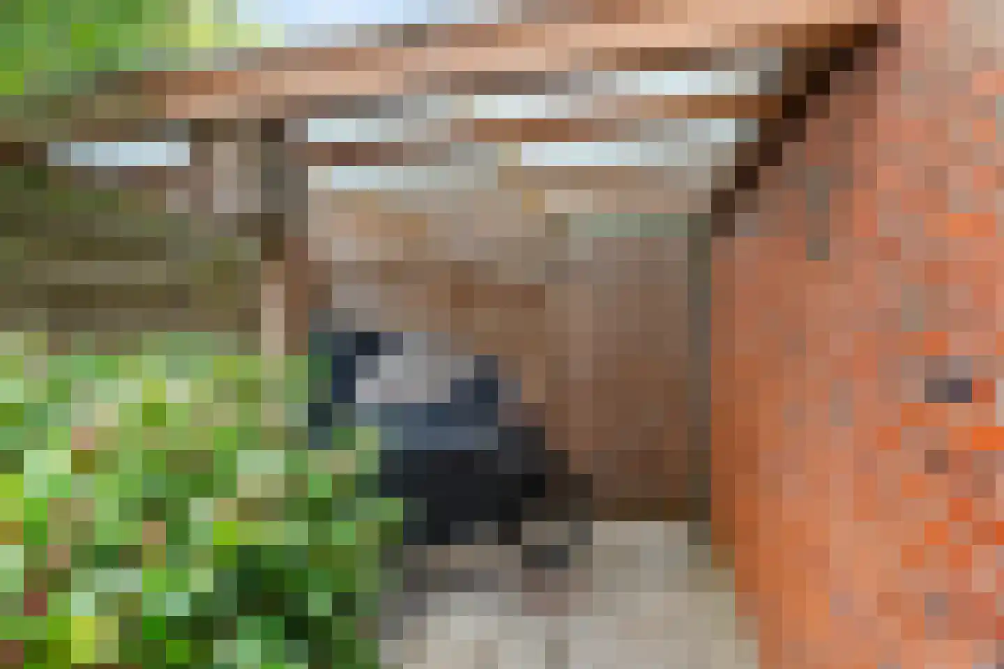 Parkweg 62 Groningen thumbnail 48