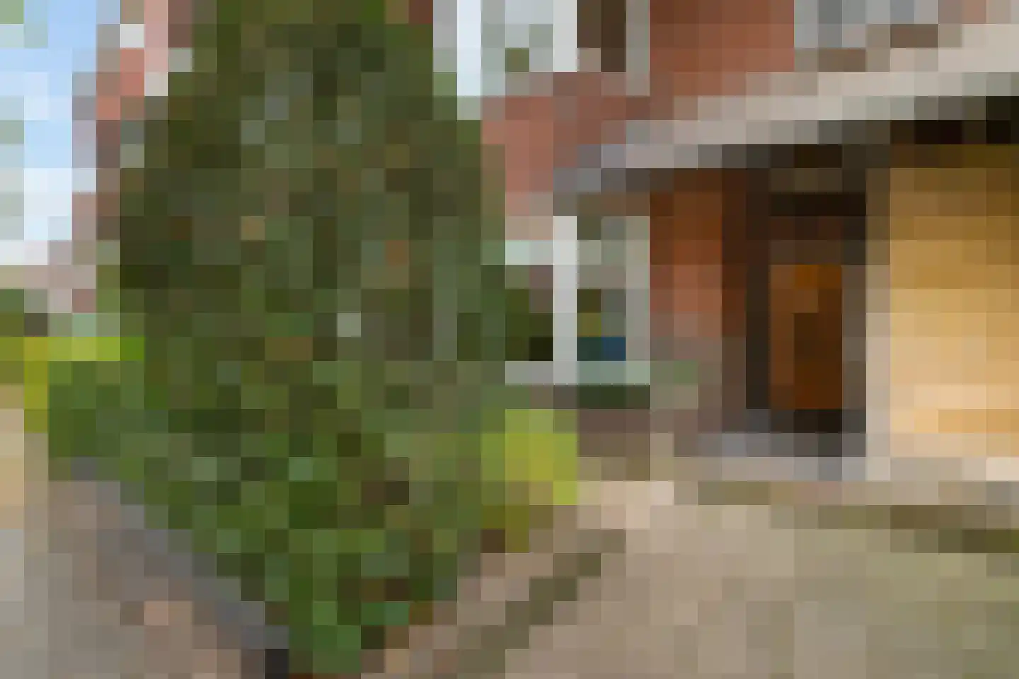 Parkweg 62 Groningen thumbnail 5
