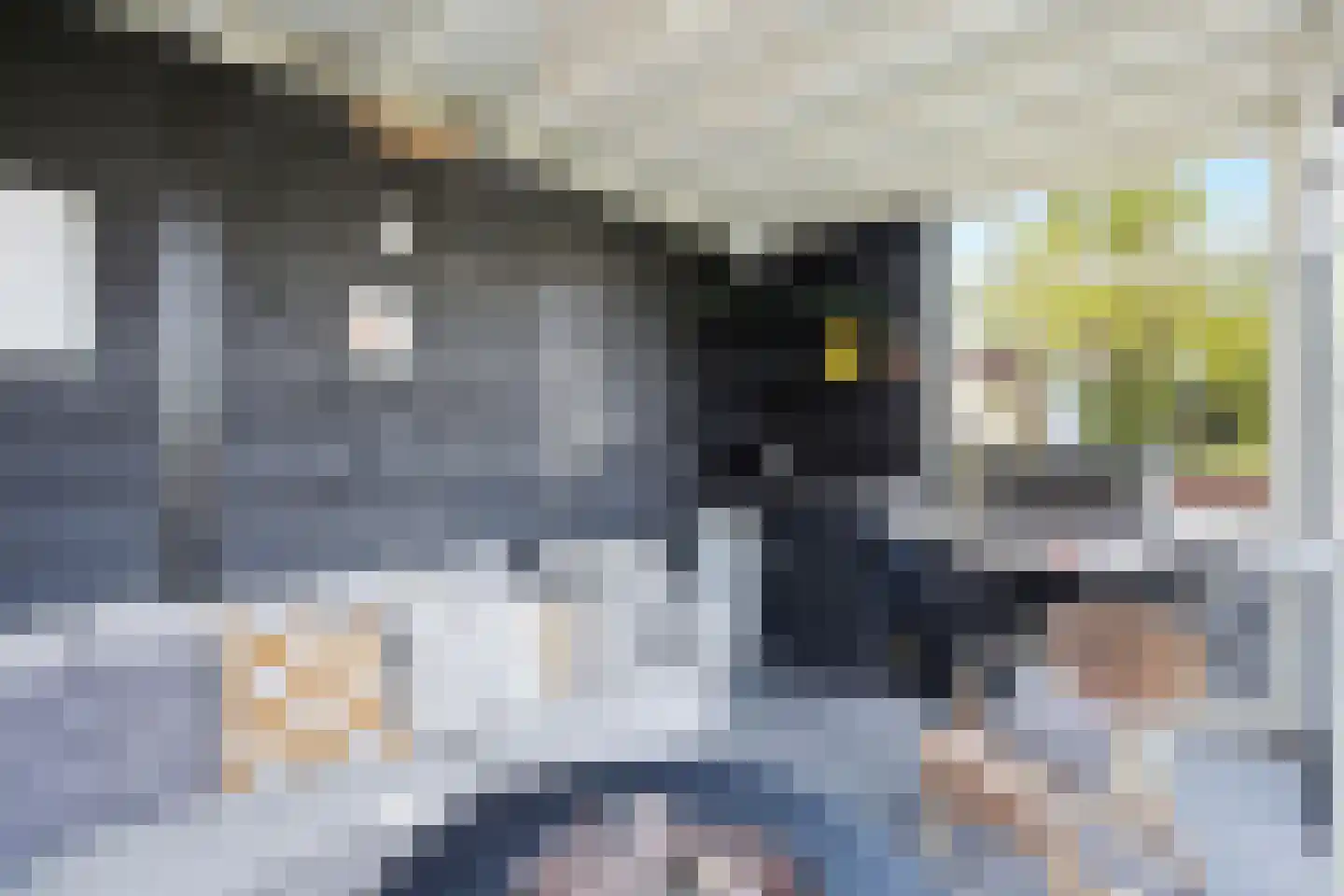 Parkweg 65 Maarssen thumbnail 43
