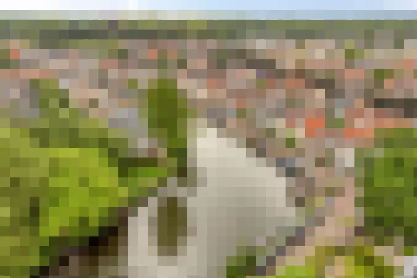 Parkweg 65 Maarssen thumbnail 53
