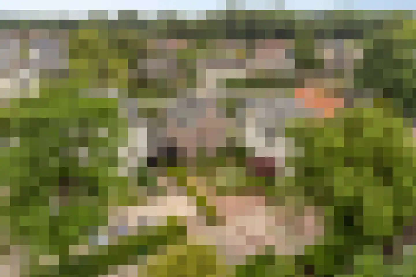Parkweg 65 Maarssen thumbnail 55