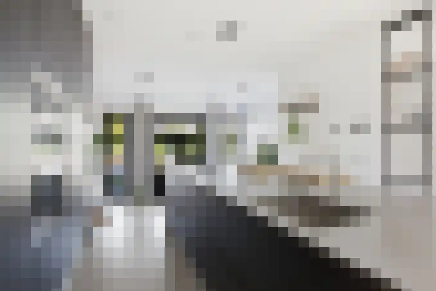 Parkweg 65 Maarssen thumbnail 8