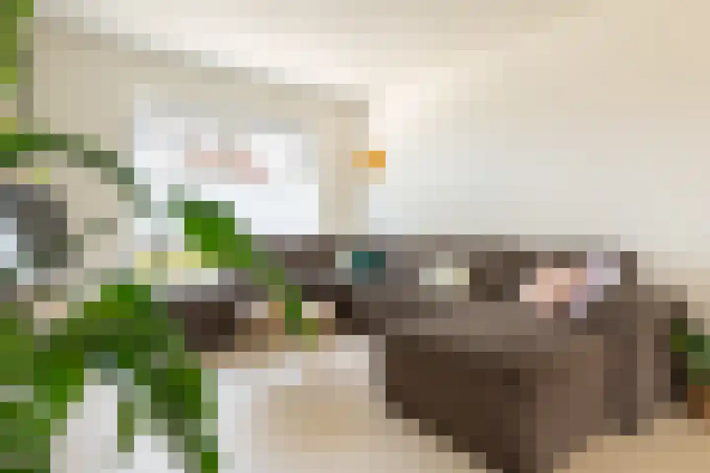 Parkweg 66 Born thumbnail 33