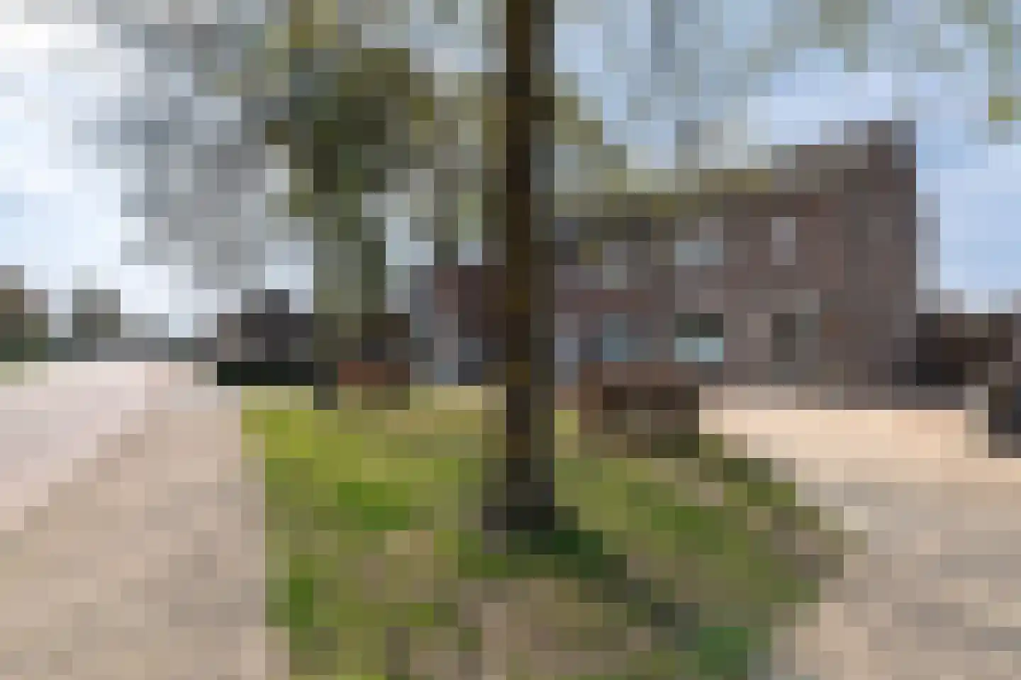 Parkweg 66 Born thumbnail 55