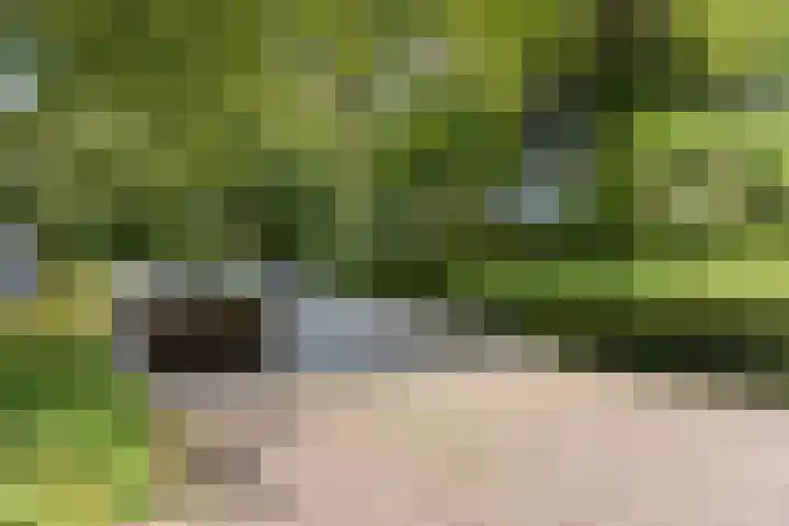 Parkweg 7 F Maastricht thumbnail 31