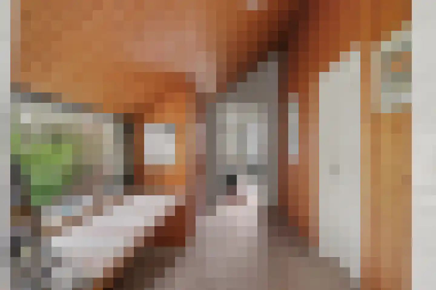 Parkweg 7 Goes thumbnail 41