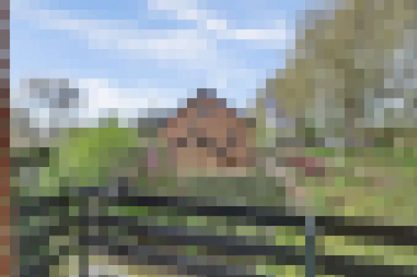 Parkweg 7 Goes thumbnail 46