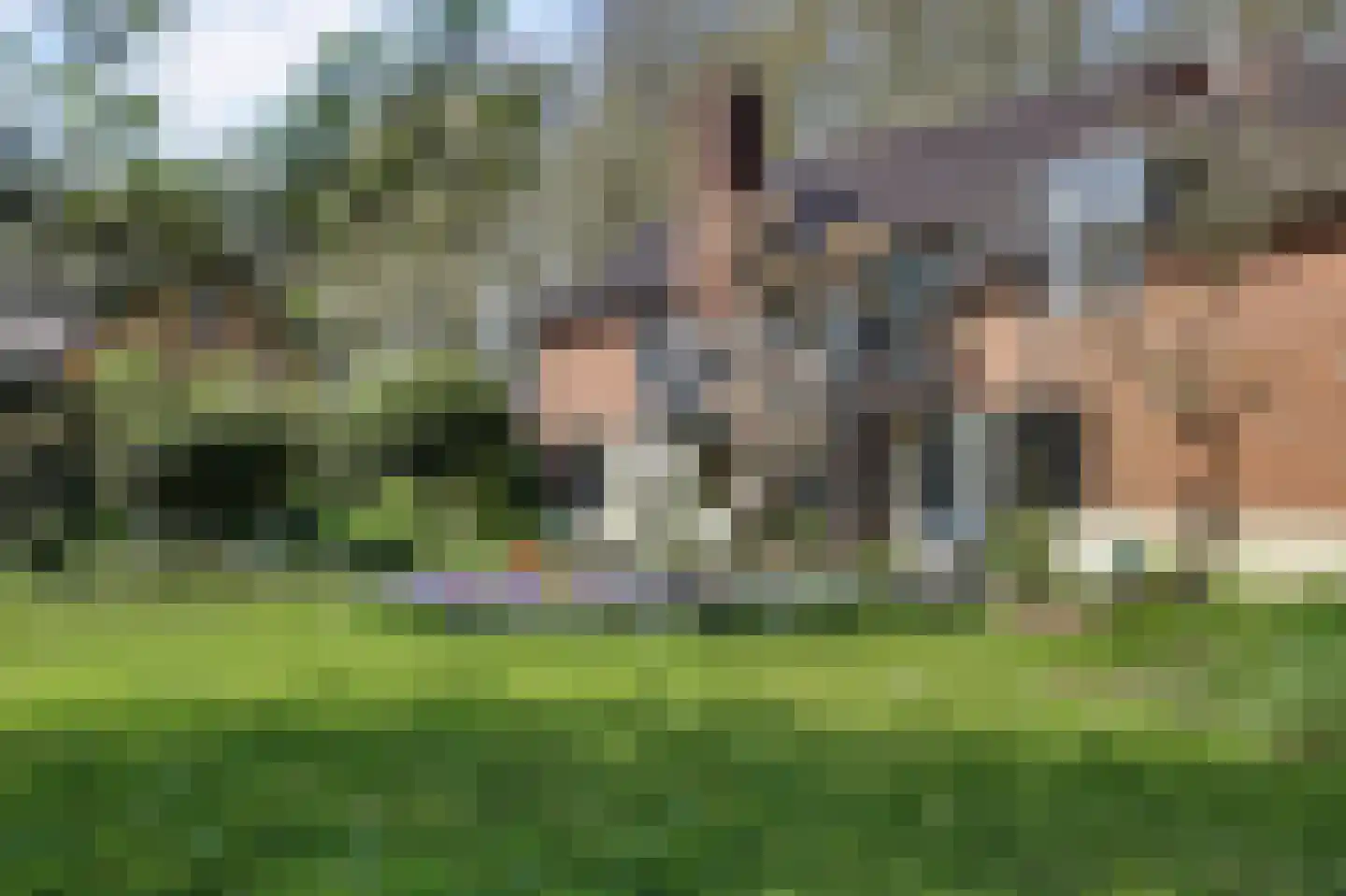 Parkweg 7 Goes thumbnail 59